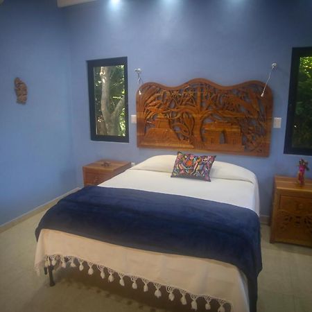 Santa Elena The Flycatcher Inn Retreat Hotel מראה חיצוני תמונה