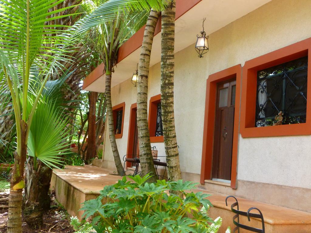 Santa Elena The Flycatcher Inn Retreat Hotel מראה חיצוני תמונה