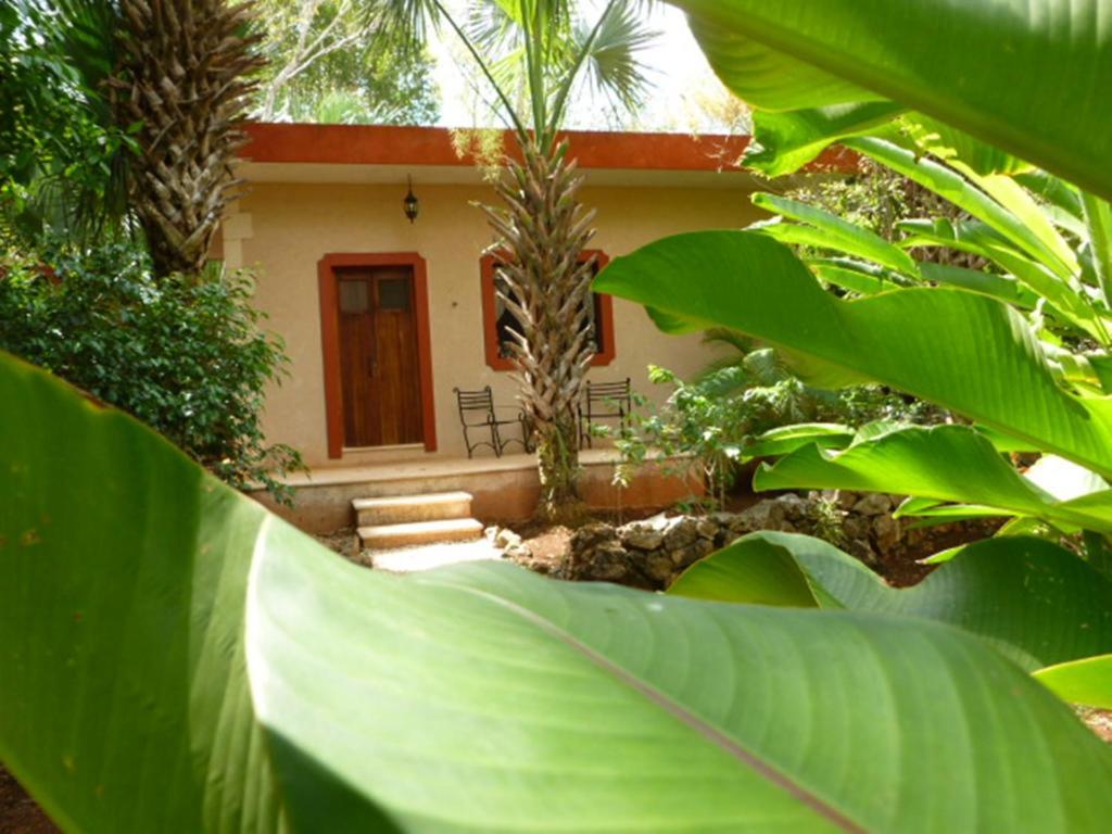 Santa Elena The Flycatcher Inn Retreat Hotel מראה חיצוני תמונה