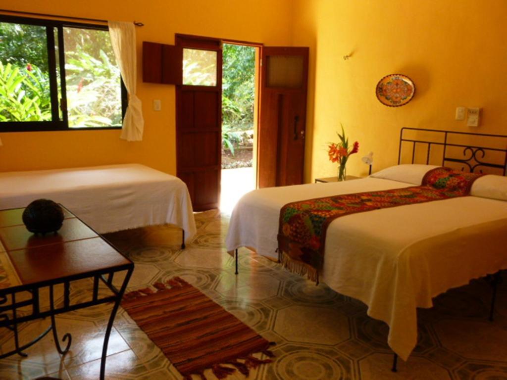 Santa Elena The Flycatcher Inn Retreat Hotel חדר תמונה