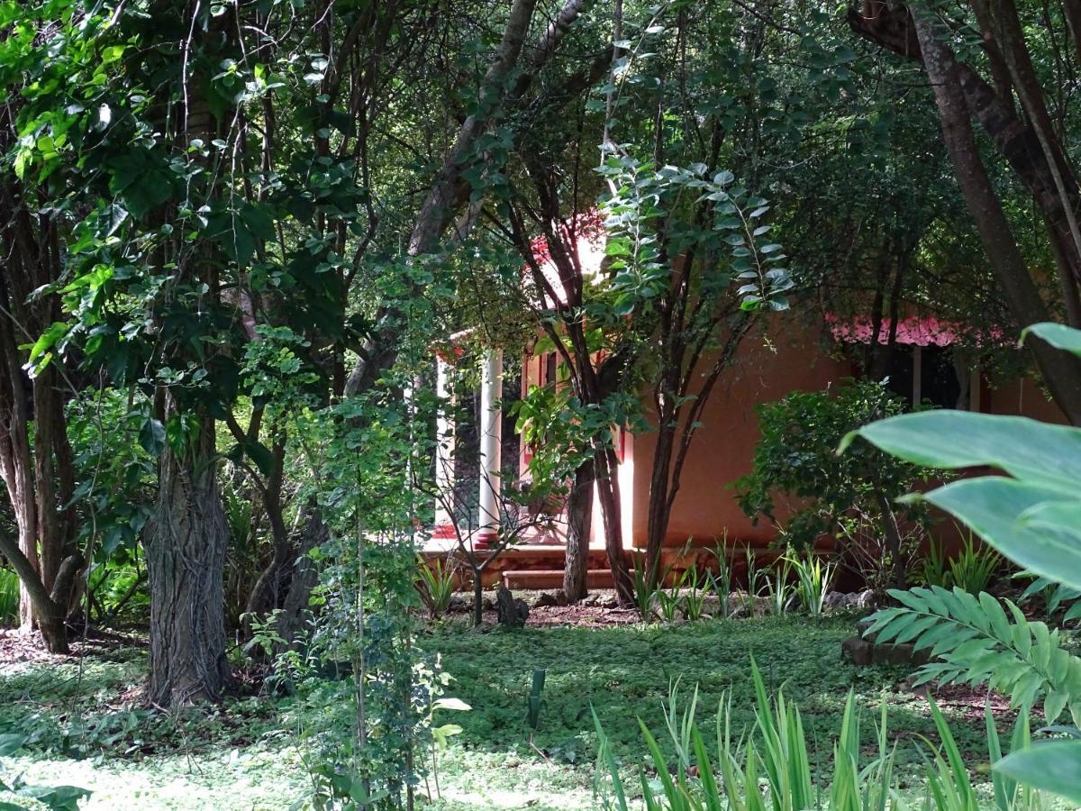 Santa Elena The Flycatcher Inn Retreat Hotel מראה חיצוני תמונה