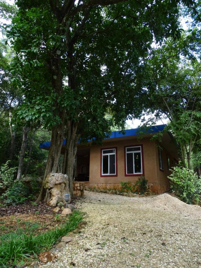 Santa Elena The Flycatcher Inn Retreat Hotel מראה חיצוני תמונה