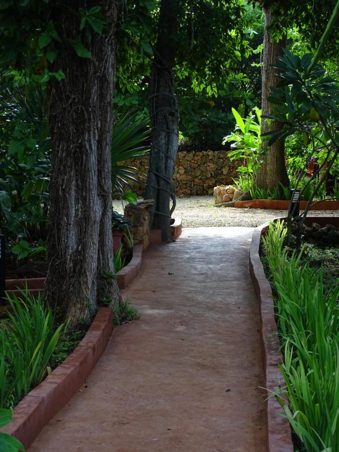 Santa Elena The Flycatcher Inn Retreat Hotel מראה חיצוני תמונה