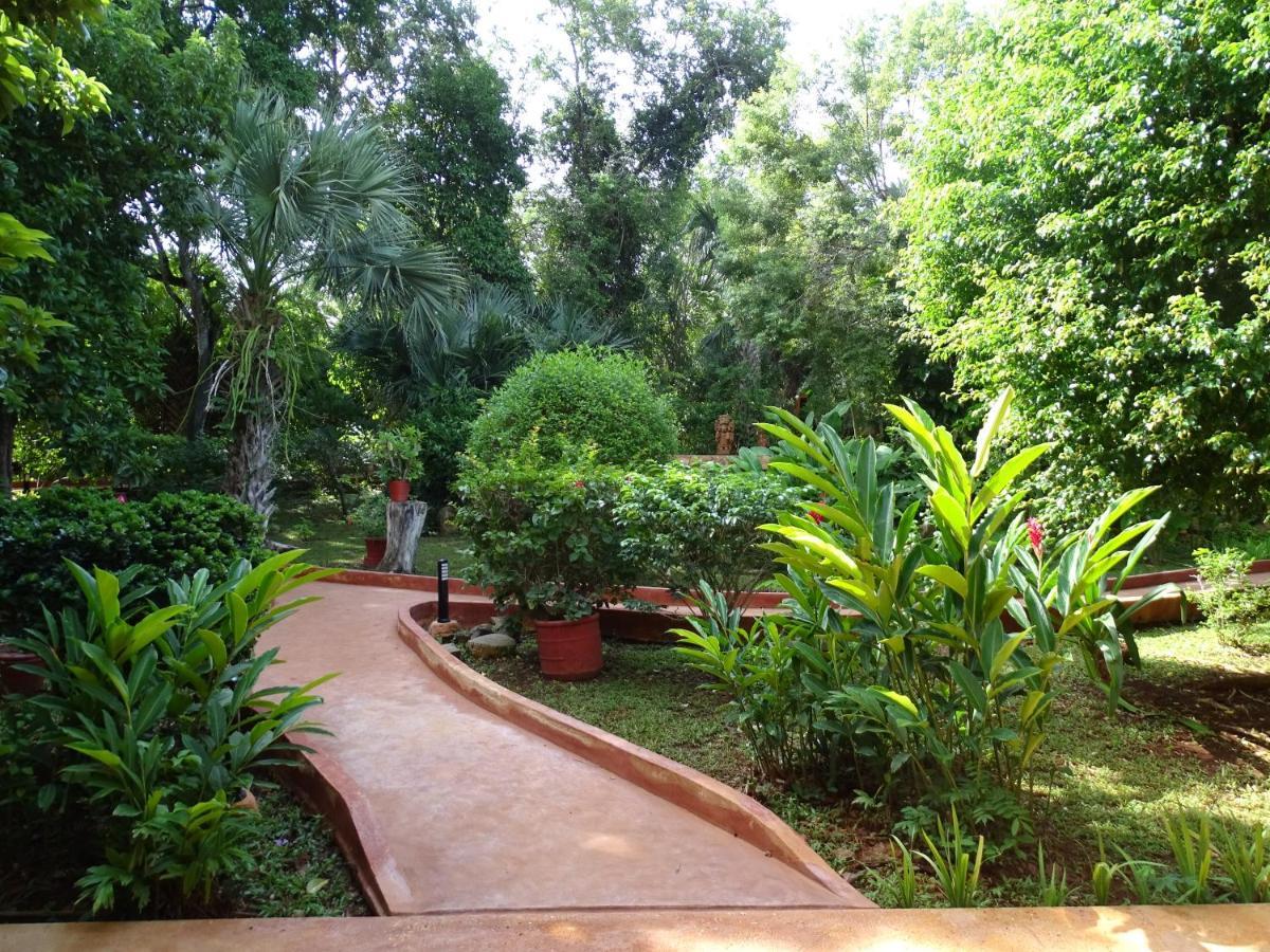 Santa Elena The Flycatcher Inn Retreat Hotel מראה חיצוני תמונה