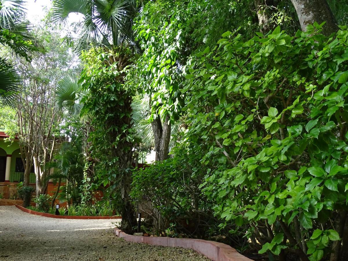 Santa Elena The Flycatcher Inn Retreat Hotel מראה חיצוני תמונה